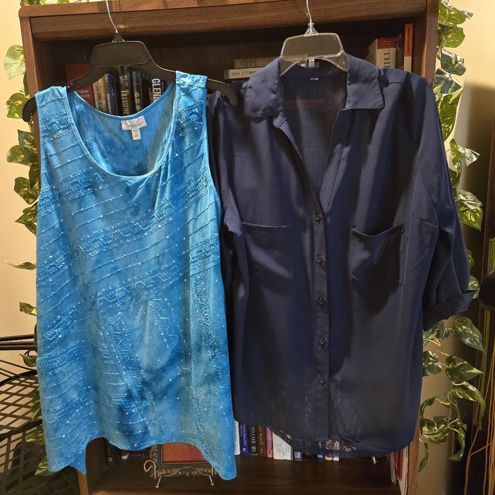 Batch of 2 Blue Blouses, Sheer Navy, Sea Blue Sequins, Embroidered – 2X